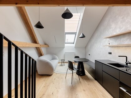 Prague / Nusle, duplex apartment, 1 bedroom + living room with kitchenette, cellar, parking space.