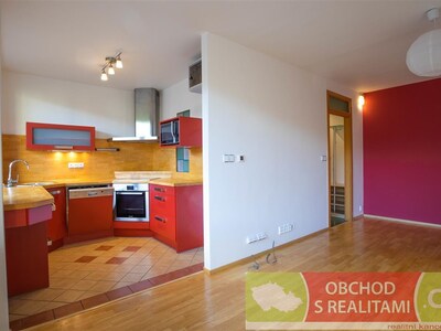 Prague - Žižkov, modern apartment 2 + 1 with loggia 9 m2 and cellar 1 m2