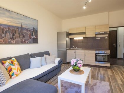 Jana Želivského, Prague / Žižkov, apartment 2+KNT