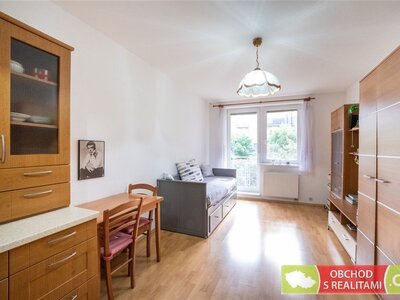 Praha / Hostivař, byt 1+KK / balkon / sklep